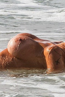 Sexy Famous Babe Andressa Urach In The Sea 05