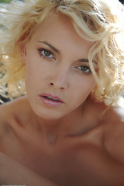 Lilly 11