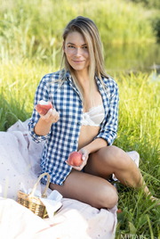Summer Picnic 00